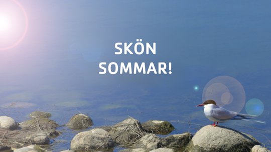 Skön sommar!