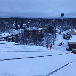 Telinekataja lumenpudotus