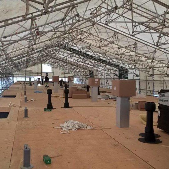 Telinekataja Kuninkaankatu