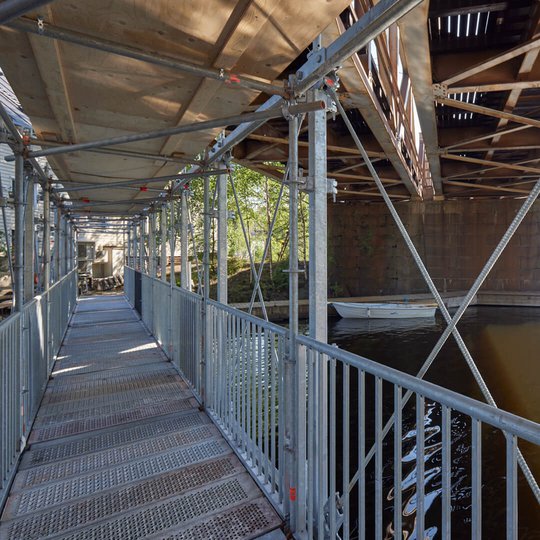 Telinekataja Pajasaari