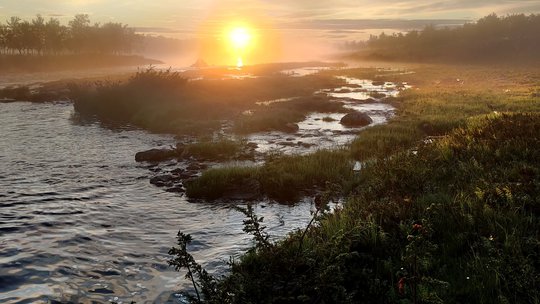 Telinekataja Miika Hirsimäki