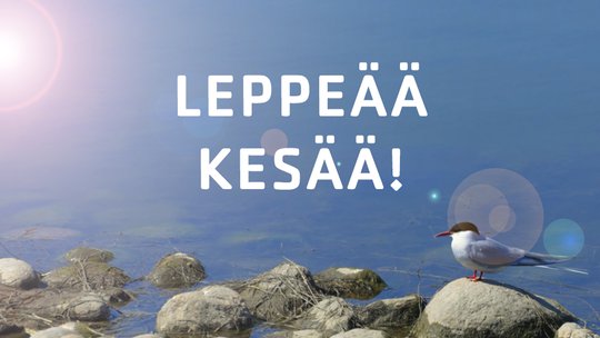 Leppeää kesää!